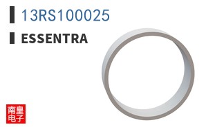 13RS100025