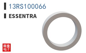 13RS100066