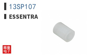 13SP107