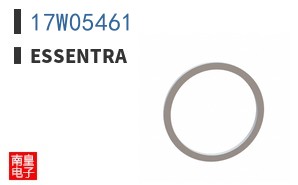 17W05461