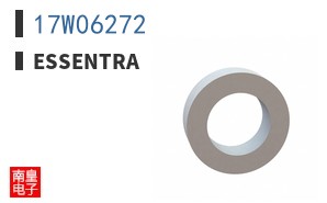 17W06272