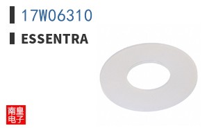 17W06310