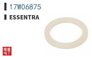 17W06875