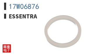 17W06876