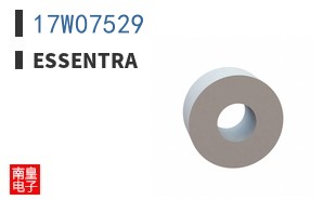 17W07529