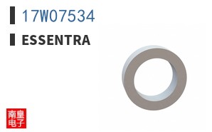 17W07534