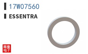 17W07560