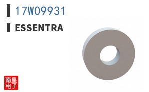 17W09931