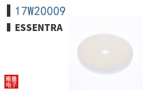 17W20009