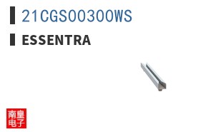 21CGS00300WS