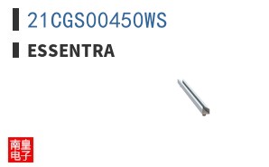 21CGS00450WS