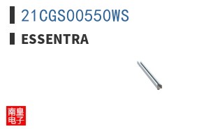 21CGS00550WS