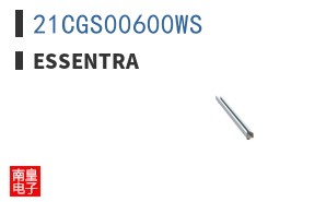 21CGS00600WS