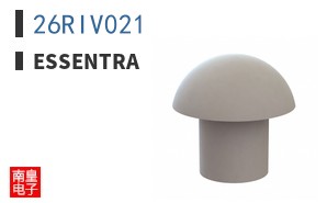 26RIV021