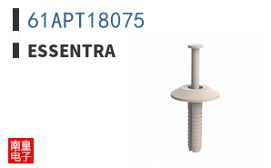 61APT18075