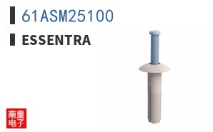 61ASM25100