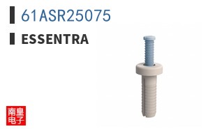 61ASR25075