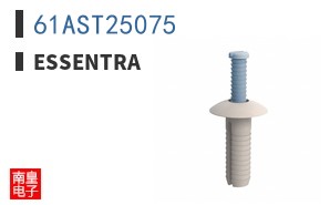 61AST25075