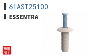 61AST25100