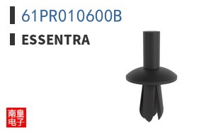 61PR010600B