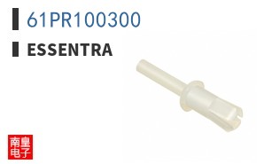 61PR100300