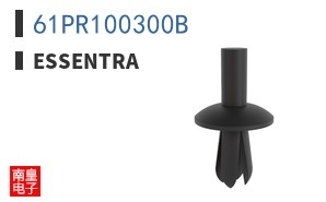 61PR100300B