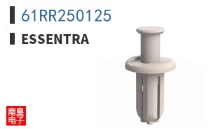61RR250125