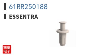 61RR250188