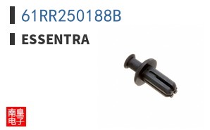 61RR250188B