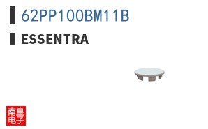 62PP100BM11B