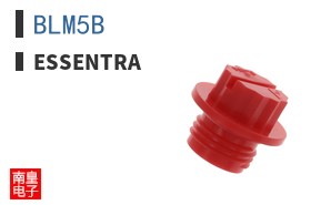 BLM5B