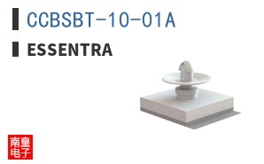CCBSBT-10-01A