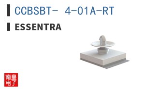 CCBSBT- 4-01A-RT