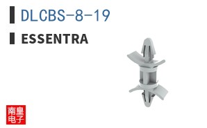 DLCBS-8-19