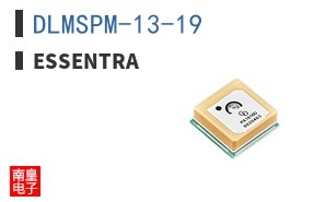 DLMSPM-13-19