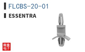 FLCBS-20-01
