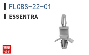 FLCBS-22-01