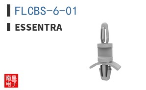 FLCBS-6-01