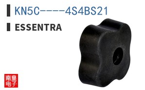 KN5C----4S4BS21