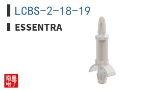 LCBS-2-18-19