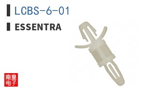 LCBS-6-01