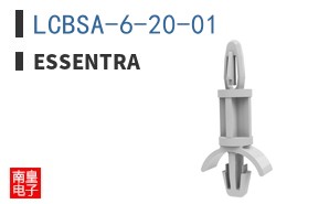 LCBSA-6-20-01