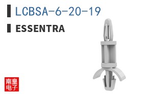 LCBSA-6-20-19