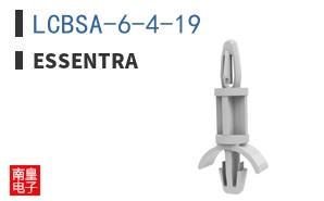 LCBSA-6-4-19