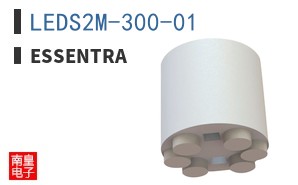 LEDS2M-300-01