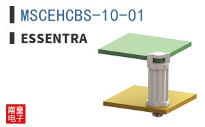 MSCEHCBS-10-01