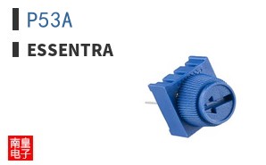 P53A