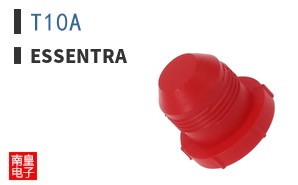 T10A
