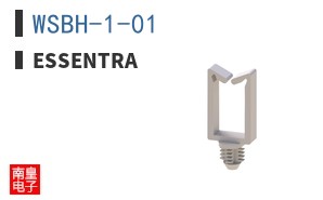 WSBH-1-01