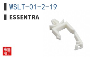 WSLT-01-2-19
